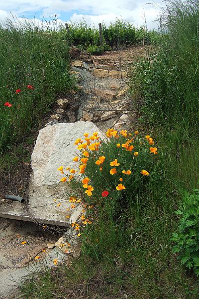 2010-06- (123).JPG